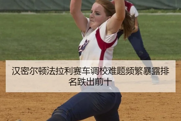 han-mi-er-dun-fa-la-li-sai-che-diao-xiao-nan-ti-pin-fan-bao-lu-pai-ming-die-chu-qian-shi-2-564.jpg